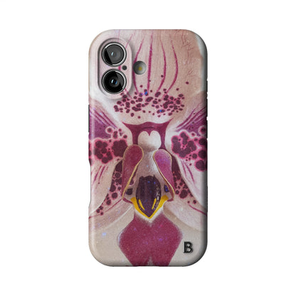Iphone_17_Iphone_1