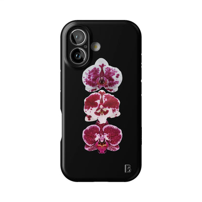 Iphone_17_Iphone_1