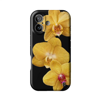 Iphone_17_Iphone_1