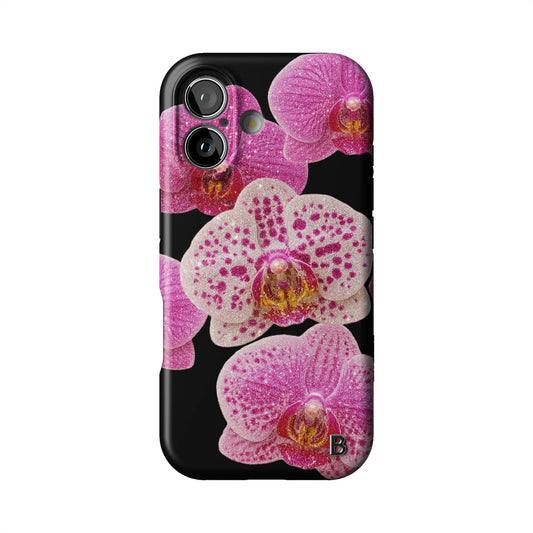 Iphone_17_Iphone_1