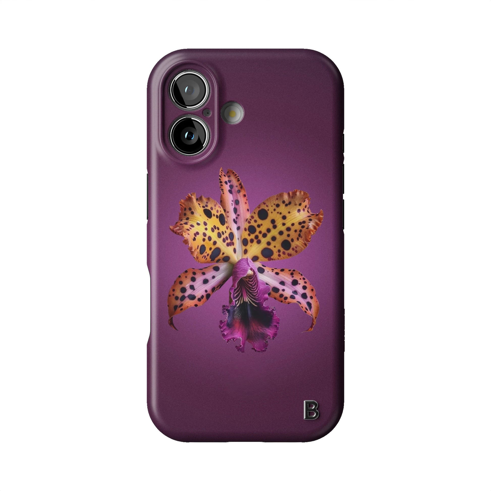 Iphone_17_Iphone_1