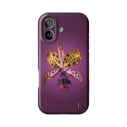 Iphone_17_Iphone_1