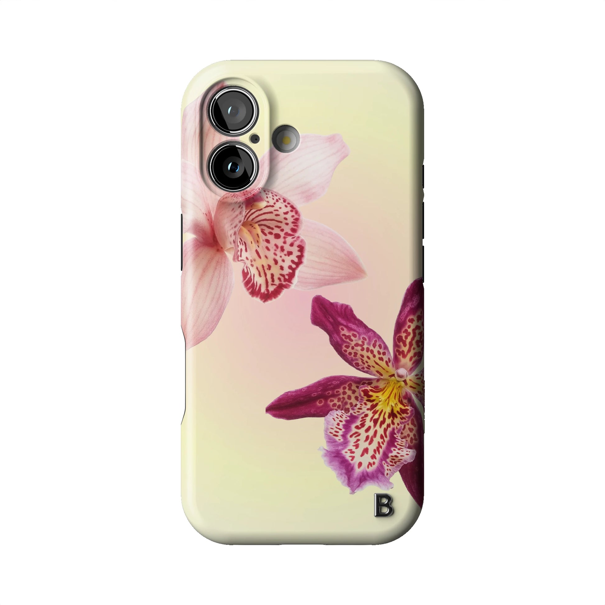 Iphone_17_Iphone_1
