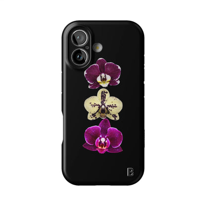 Iphone_17_Iphone_1