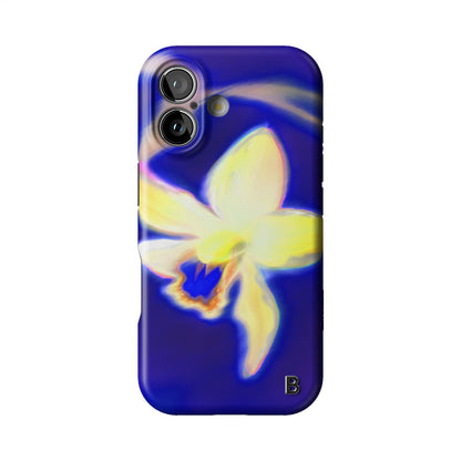 Iphone_17_Iphone_1