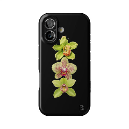 Iphone_17_Iphone_1