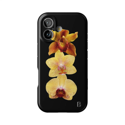 Iphone_17_Iphone_1