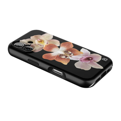 Iphone_17_Iphone_2