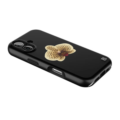 Iphone_17_Iphone_2