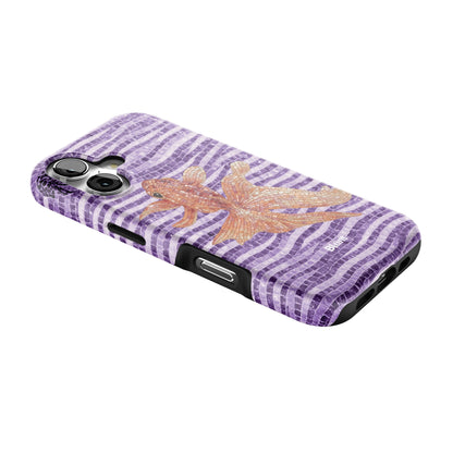 Iphone_17_Iphone_2