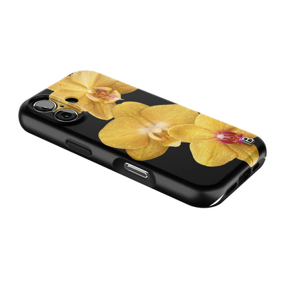 Iphone_17_Iphone_2