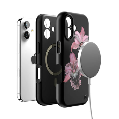 Iphone_17_Iphone_4
