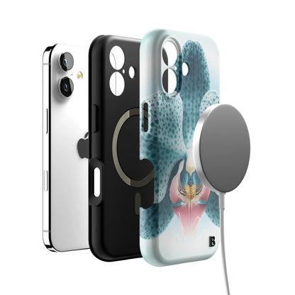 Iphone_17_Iphone_4