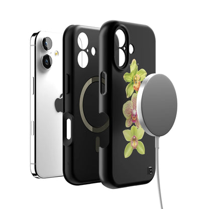 Iphone_17_Iphone_4