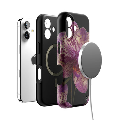 Iphone_17_Iphone_4