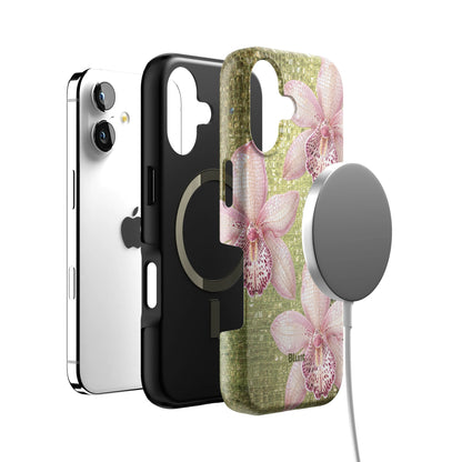 Iphone_17_Iphone_4