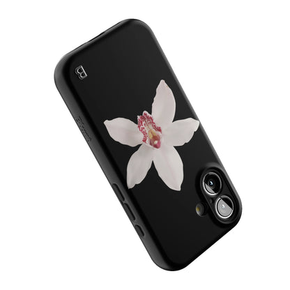 Iphone_17_Iphone_5