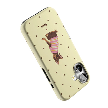 Iphone_17_Iphone_5