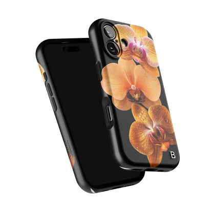 Iphone_17_Iphone_6