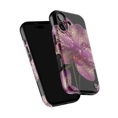Iphone_17_Iphone_6