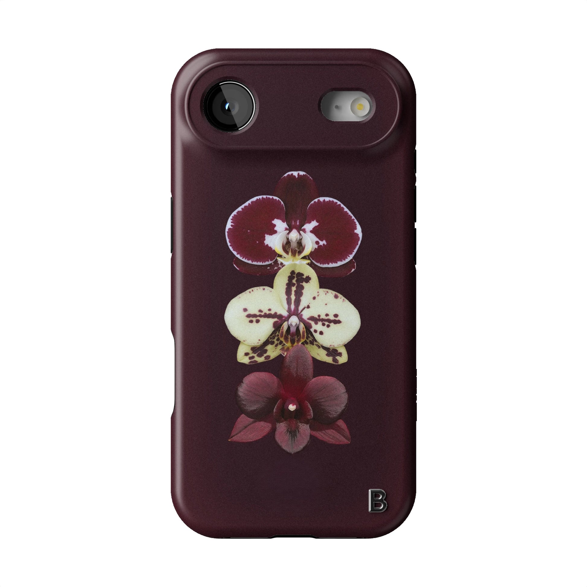 Iphone_17_Mini_Air_Plus_1