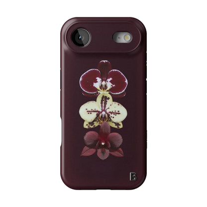 Iphone_17_Mini_Air_Plus_1