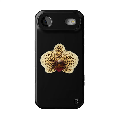 Iphone_17_Mini_Air_Plus_1
