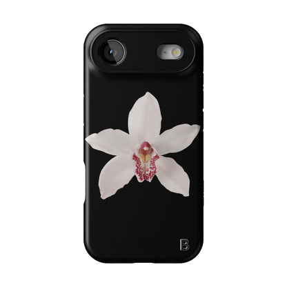 Iphone_17_Mini_Air_Plus_1