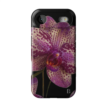 Iphone_17_Mini_Air_Plus_1