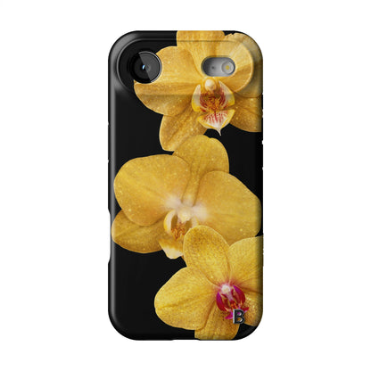 Iphone_17_Mini_Air_Plus_1