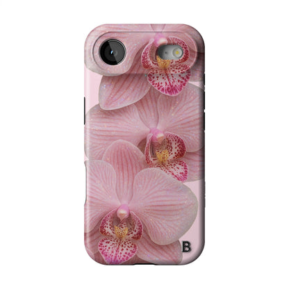 Iphone_17_Mini_Air_Plus_1