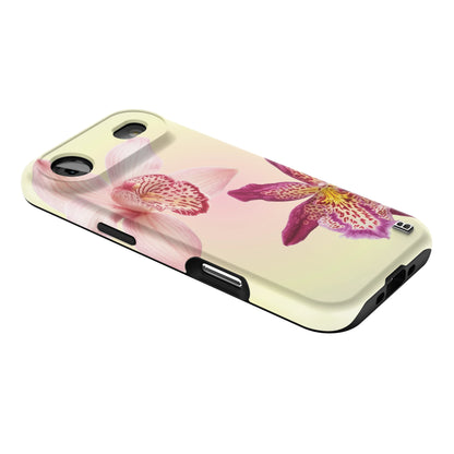 Iphone_17_Mini_Air_Plus_2