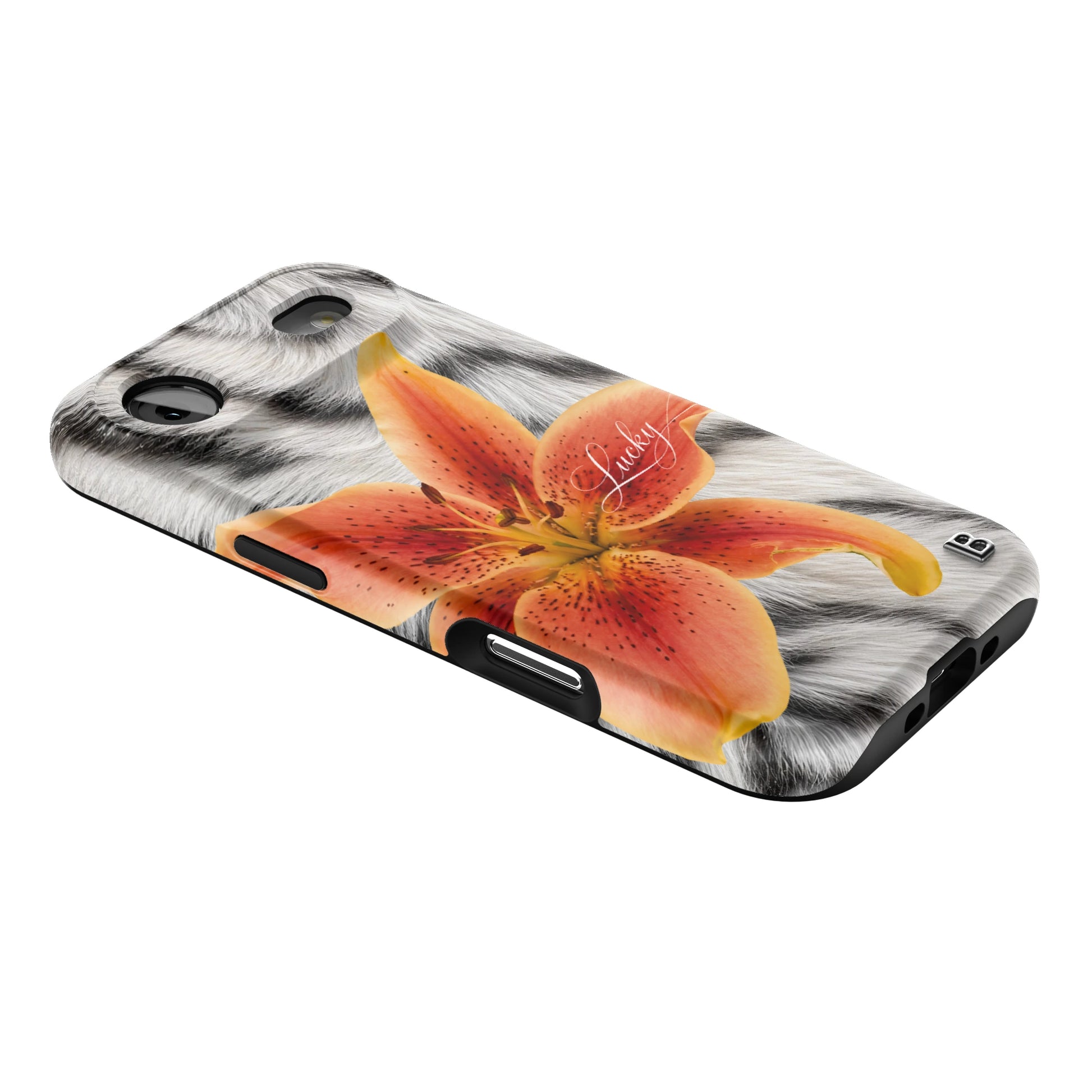 Iphone_17_Mini_Air_Plus_2