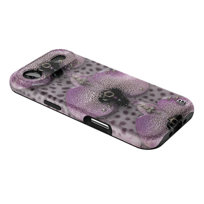 Iphone_17_Mini_Air_Plus_2