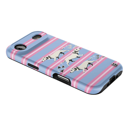 Iphone_17_Mini_Air_Plus_2