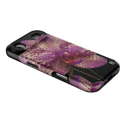 Iphone_17_Mini_Air_Plus_2