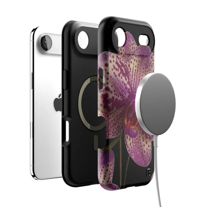 Iphone_17_Mini_Air_Plus_4