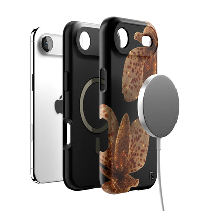 Iphone_17_Mini_Air_Plus_4