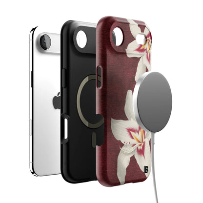 Iphone_17_Mini_Air_Plus_4