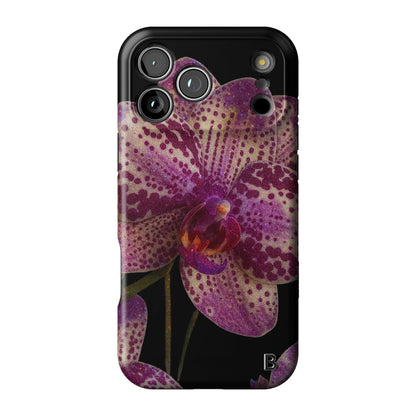 Iphone_17_Pro_Max_1