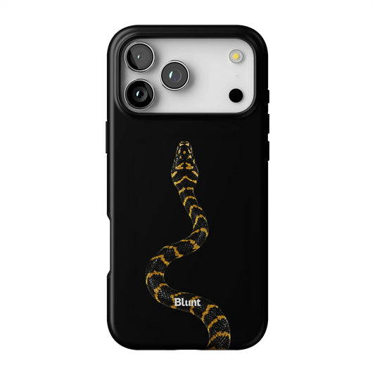 Iphone_17_Pro_Max_1