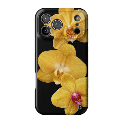 Iphone_17_Pro_Max_1