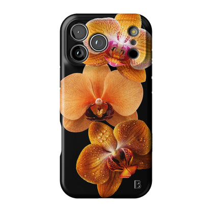 Iphone_17_Pro_Max_1