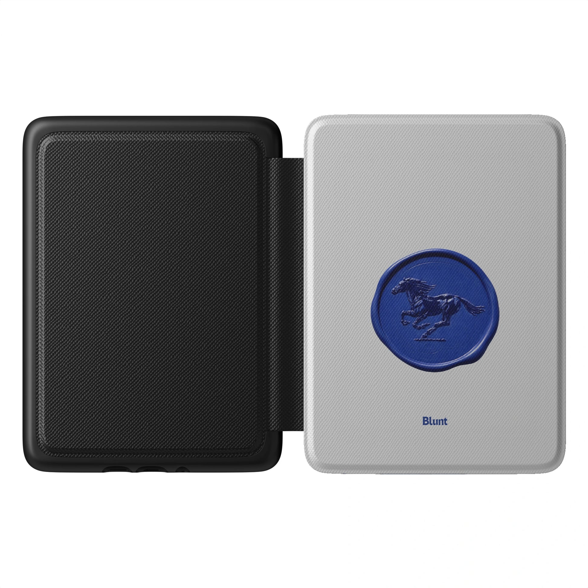 Kindle_Standard_1
