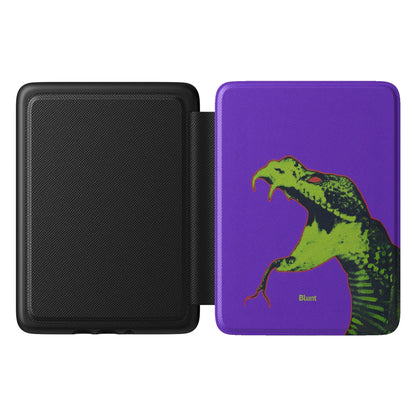 Kindle_Standard_1