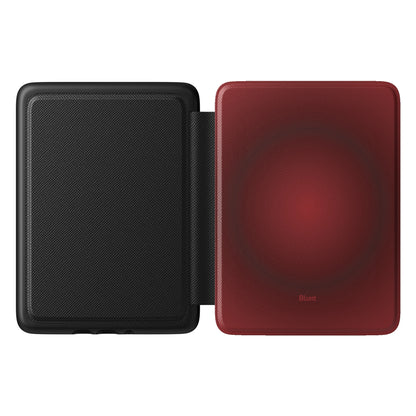 Kindle_Standard_1