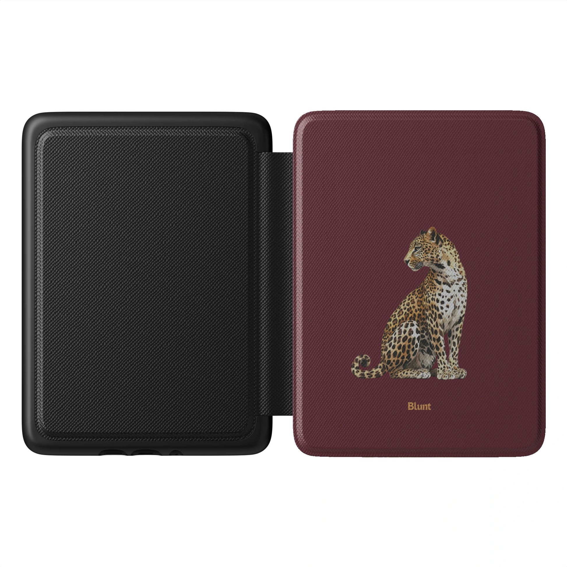 Kindle_Standard_1