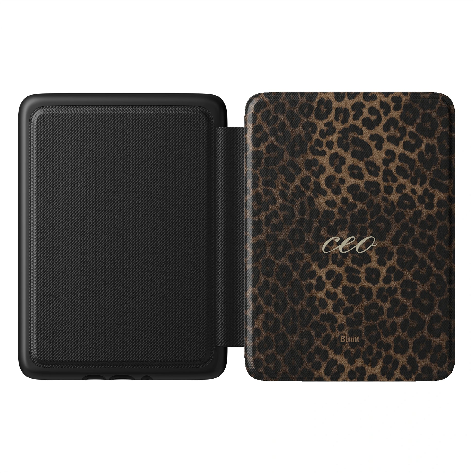 Kindle_Standard_1