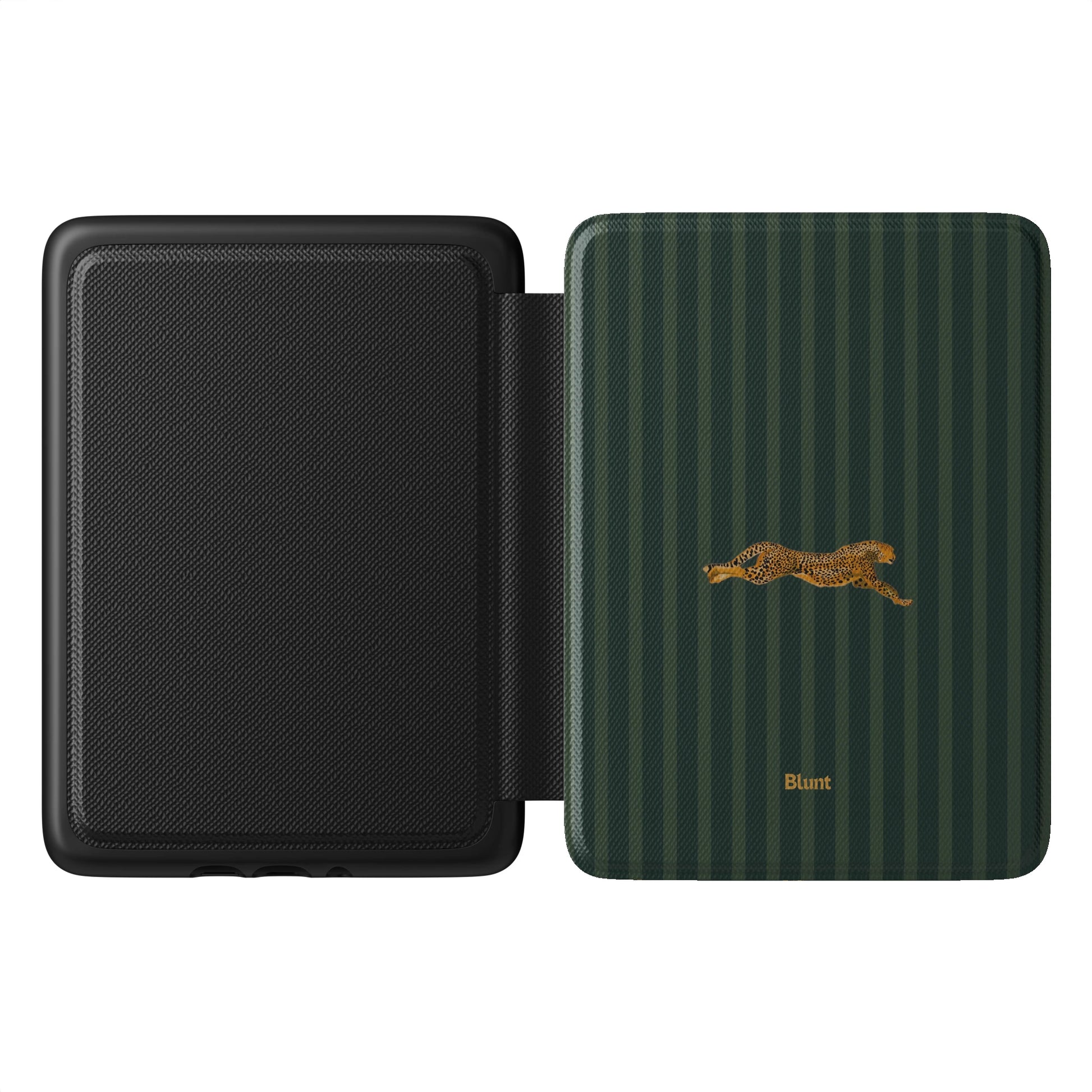 Kindle_Standard_1