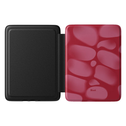 Kindle_Standard_1